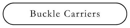 Buckle Carriers